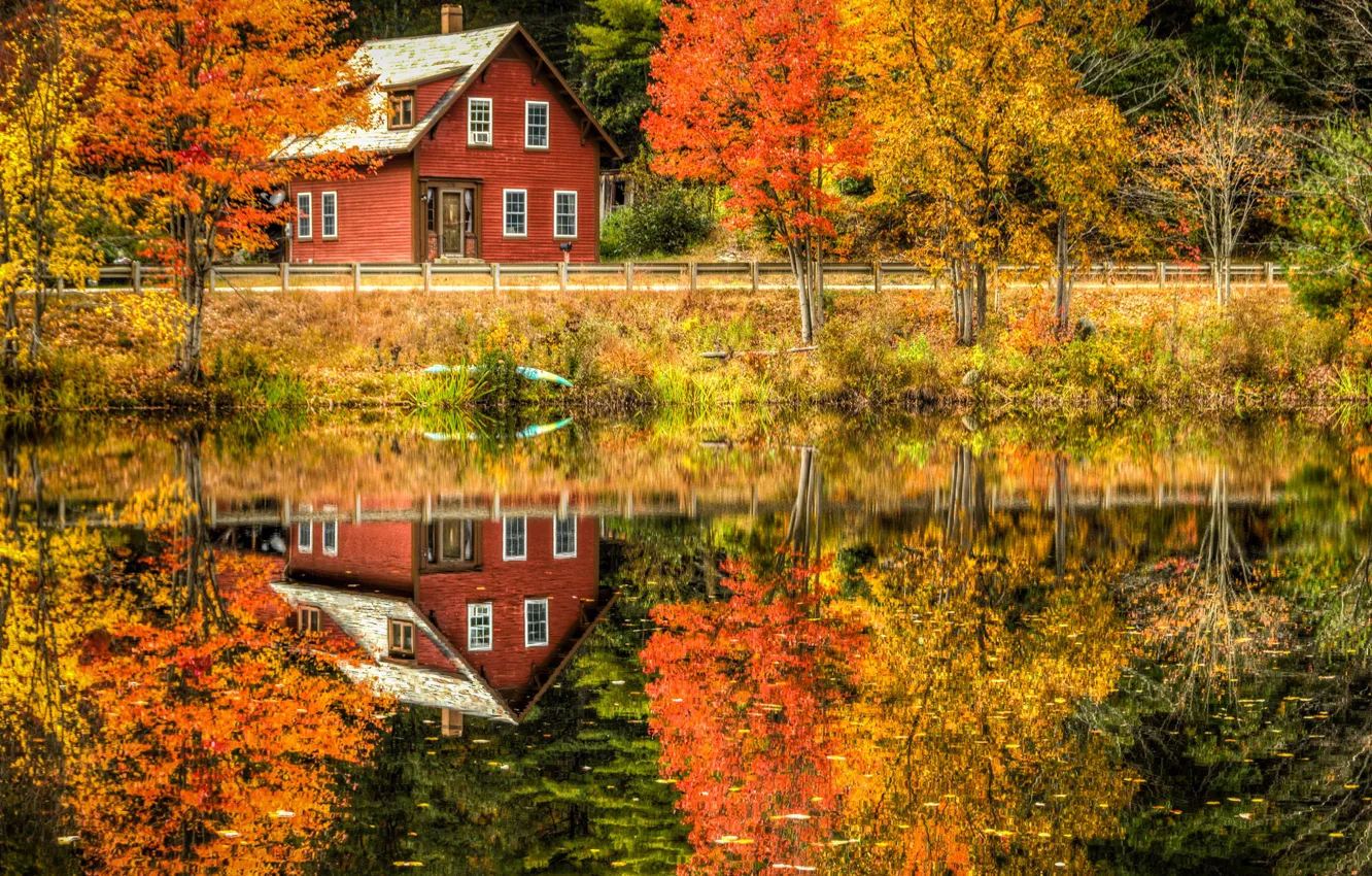 Фото обои дорога, осень, лес, листья, деревья, пейзаж, отражение, река