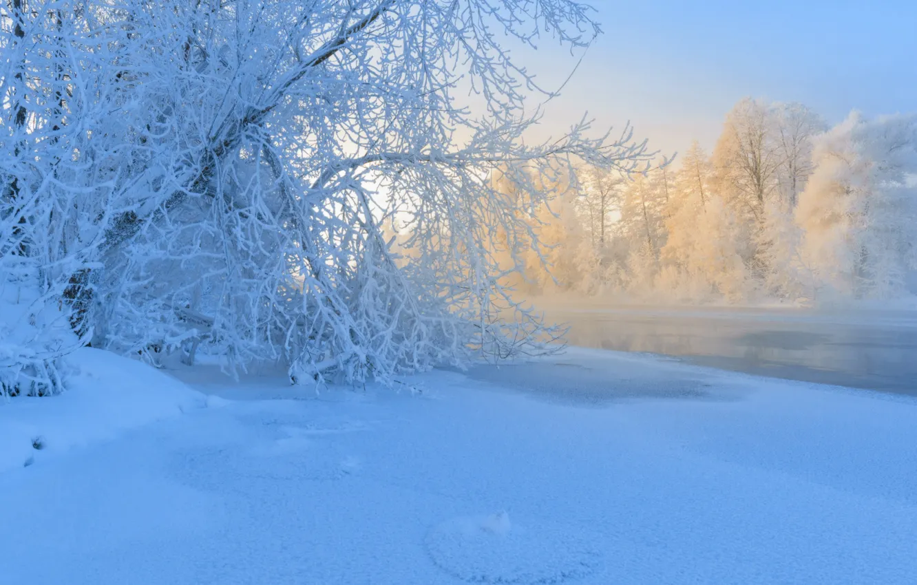 Фото обои зима, иней, снег, деревья, река, мороз, Россия