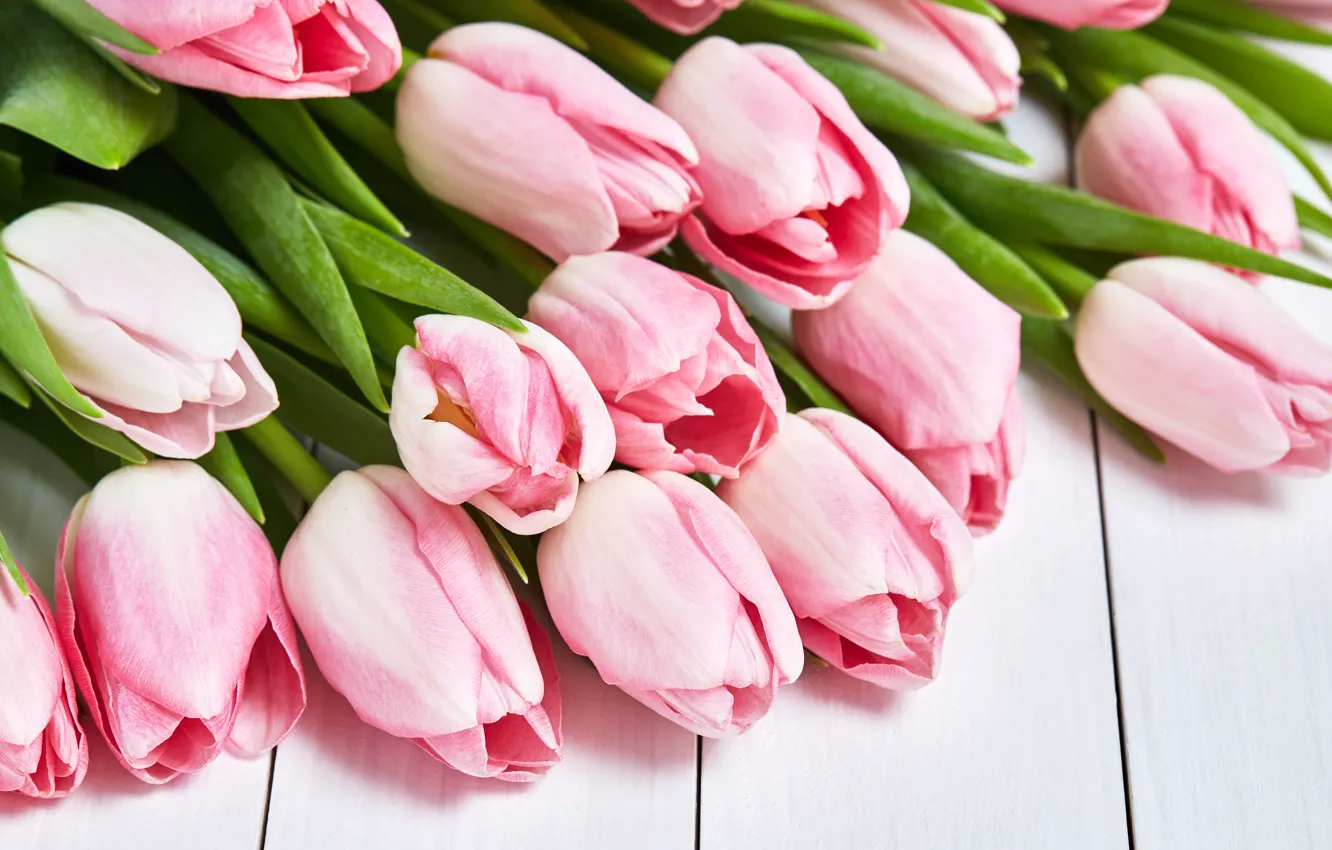 Фото обои букет, тюльпаны, розовые, Olena Rudo