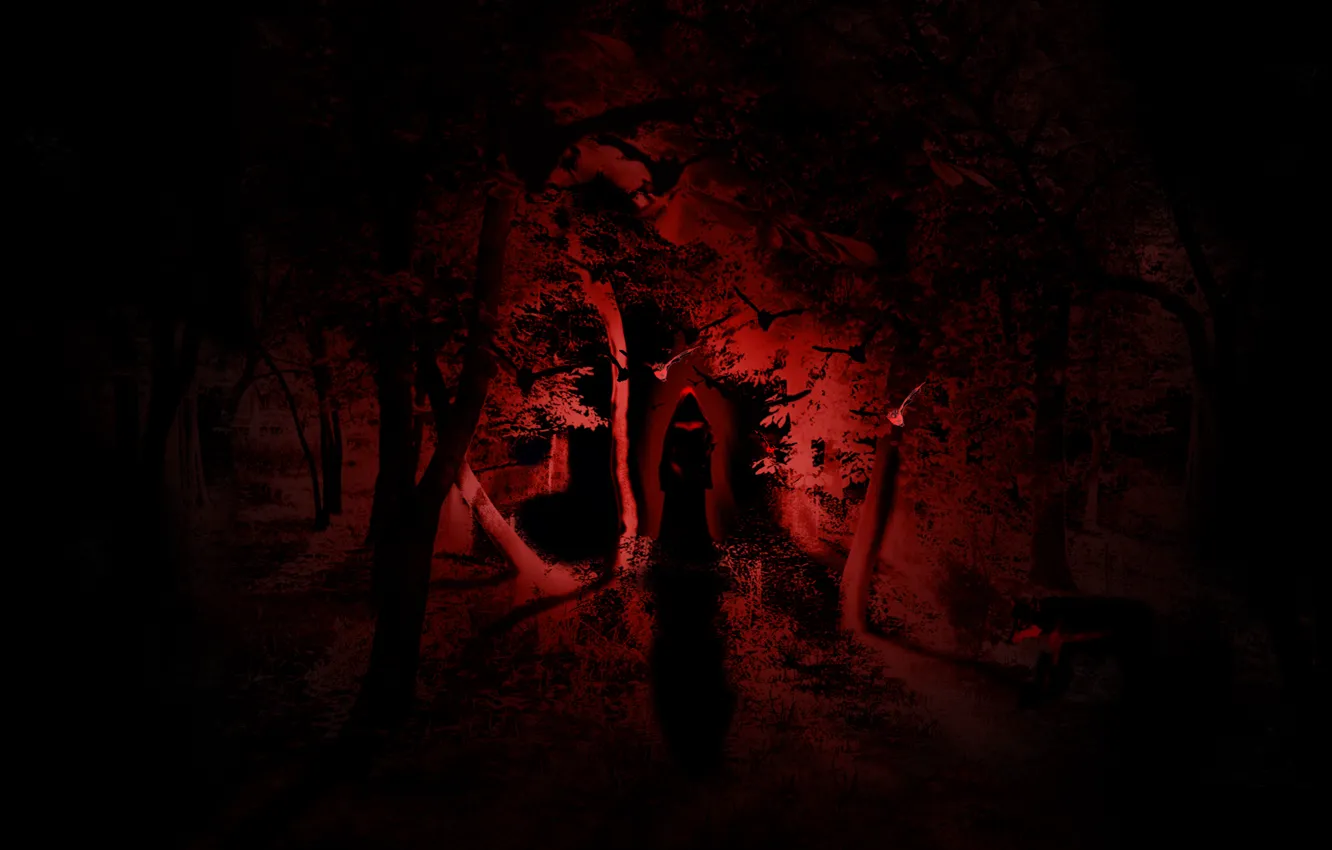 Фото обои лес, свет, ночь, ужас, ведьма
