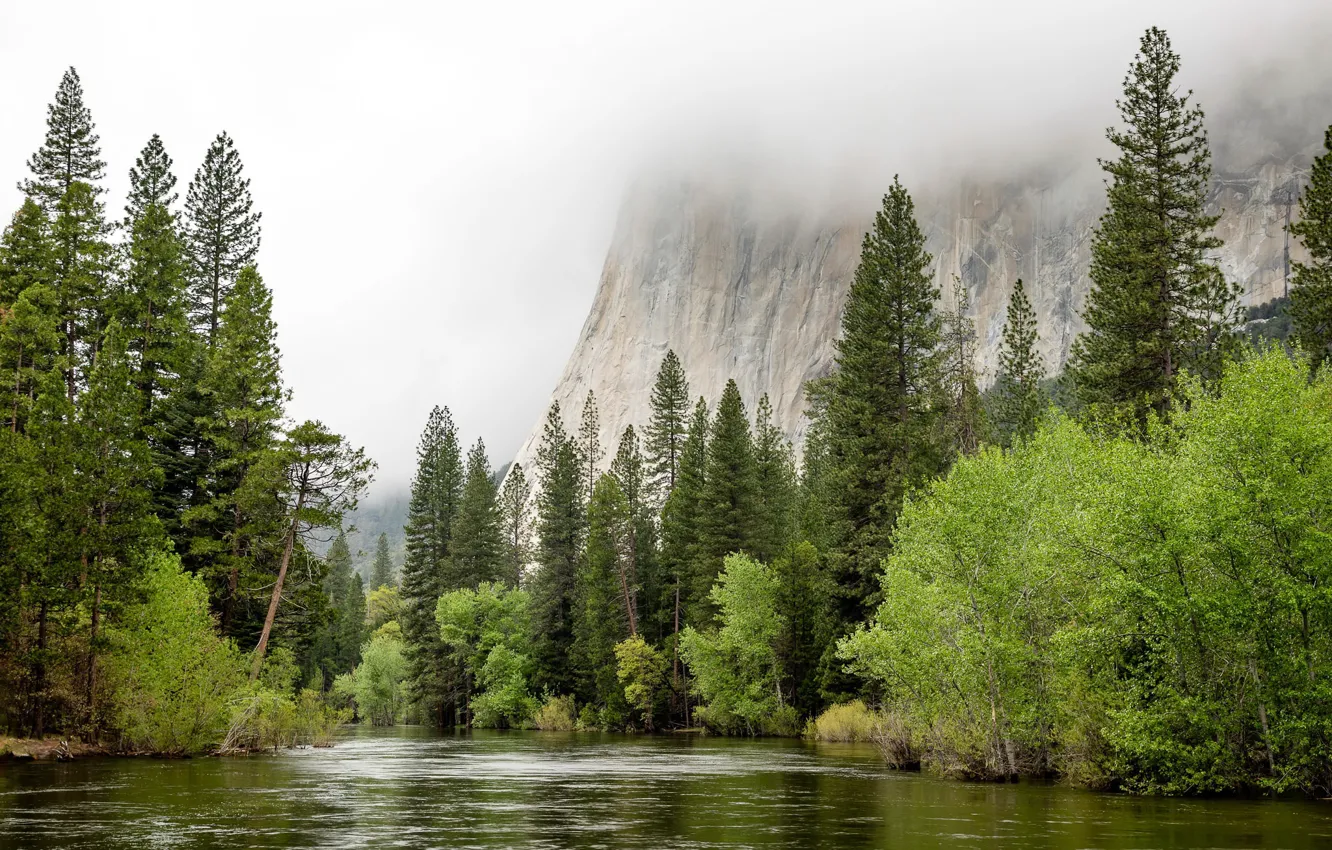 Фото обои United States, California, Spring Flood, Yosemite Village