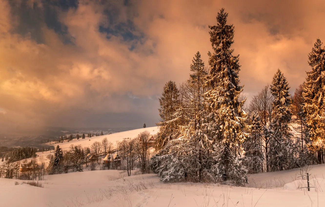 Фото обои зима, снег, Польша, Закопане