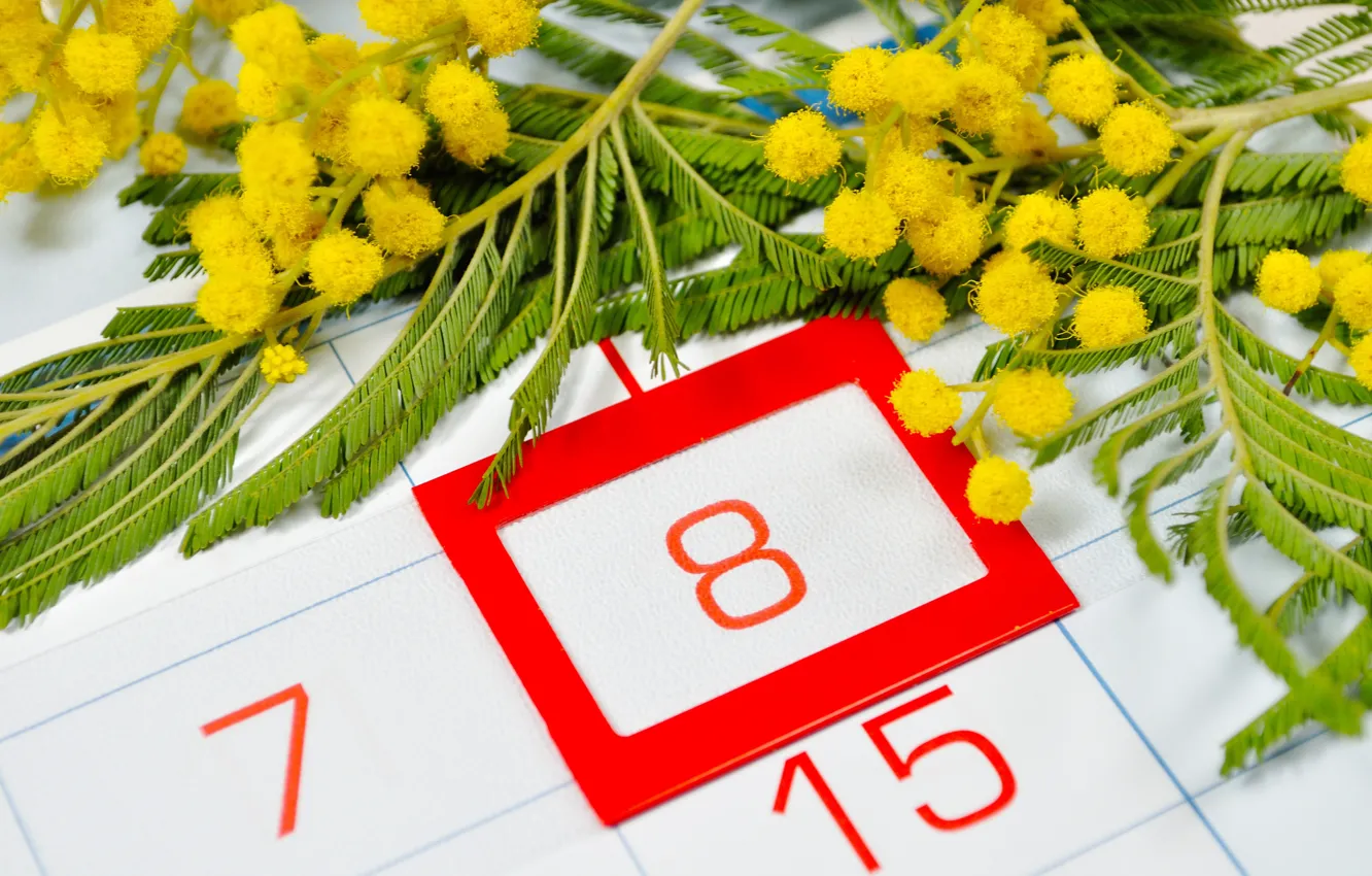 Фото обои желтые, красные, календарь, 8 марта, цветки, числа, дата, мимоза