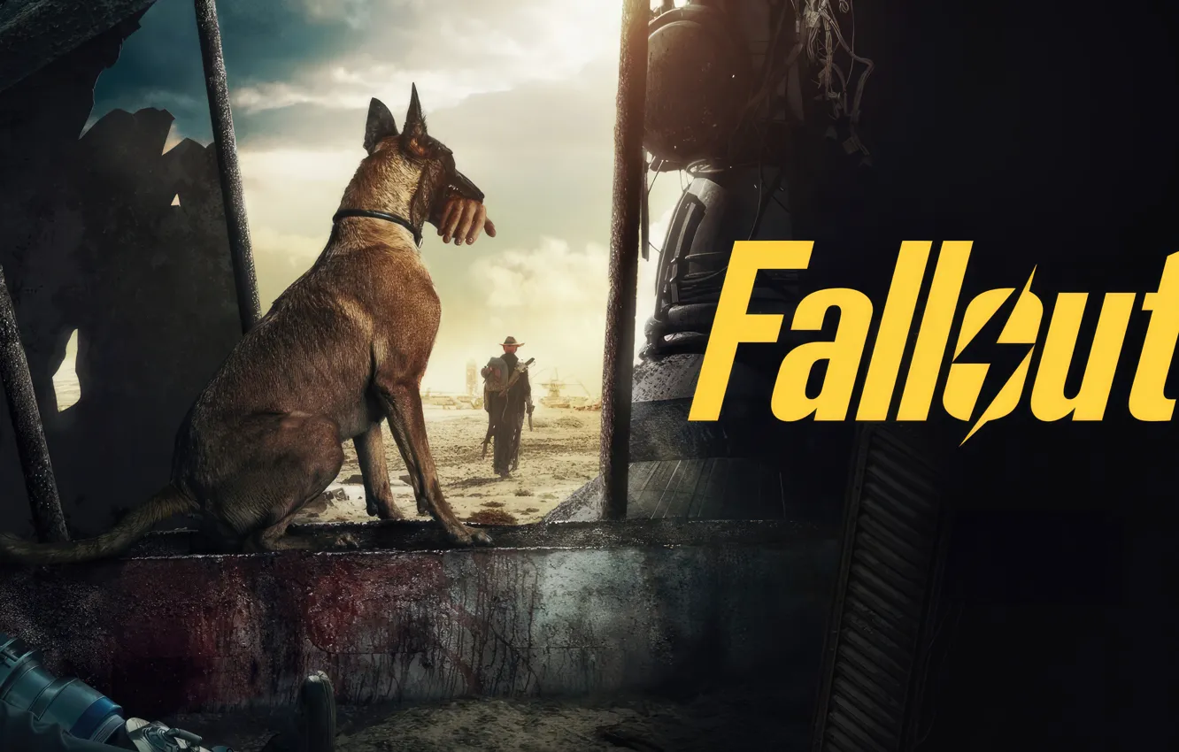 Фото обои Movies, Fallout, Prime series, Dogmeat, 2024 Series