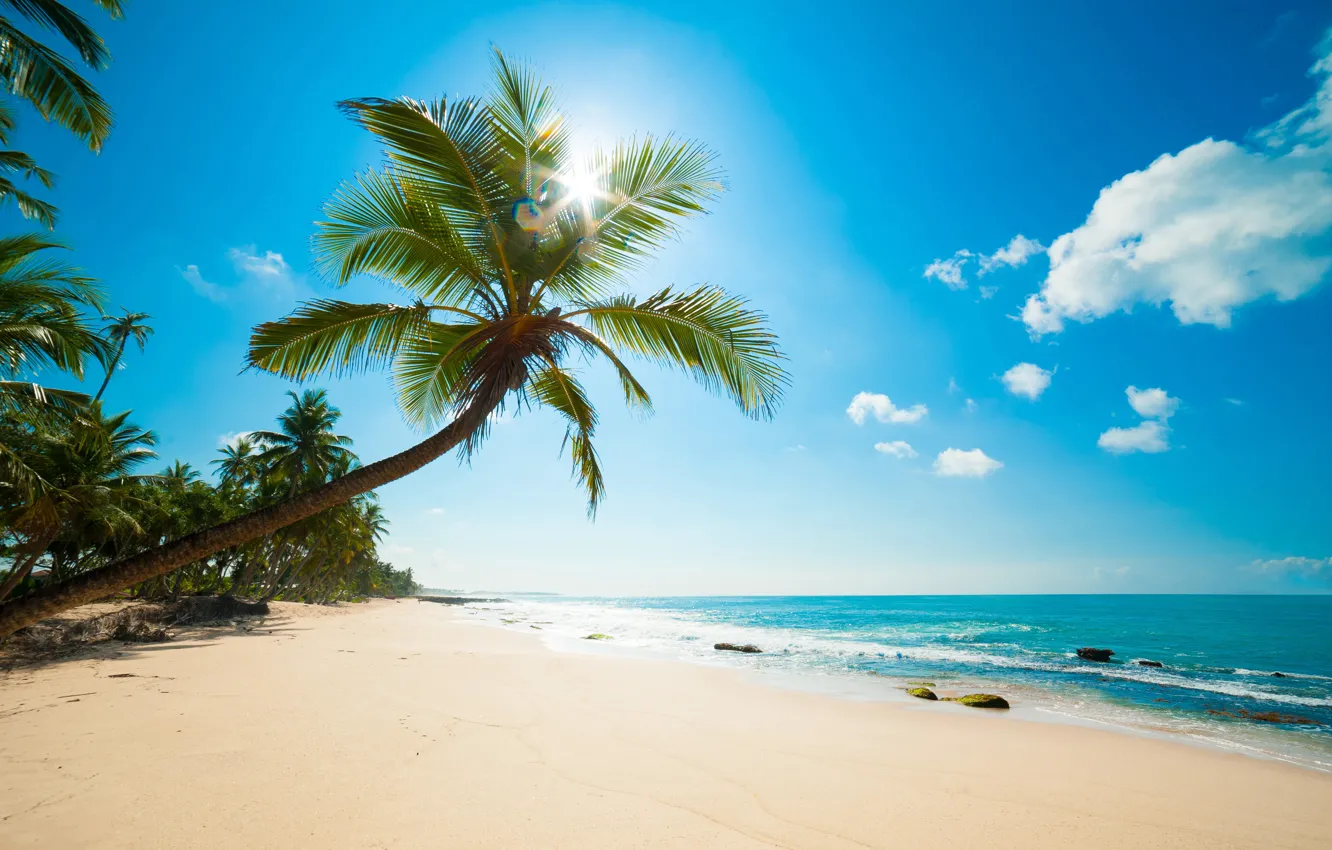 Фото обои море, пляж, Тропики, Карибы
