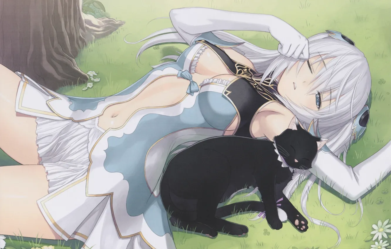Фото обои трава, блондинка, спит, корсет, game, черный кот, лежит на спине, перчатки локтя