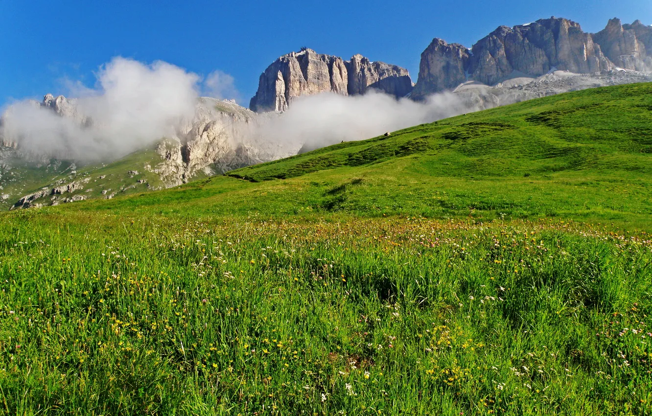 Фото обои Альпы, луг, Италия, разнотравье, горный хребет, Доломиты