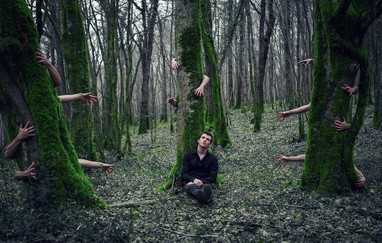 Фото обои лес, руки, парень