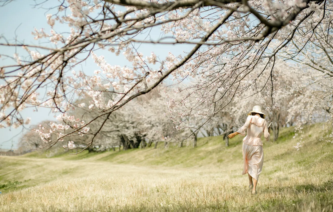 Фото обои девушка, природа, весна