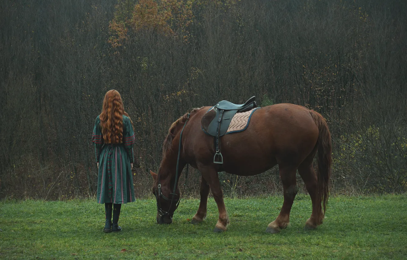 Фото обои лес, девушка, лошадь, рыжеволосая