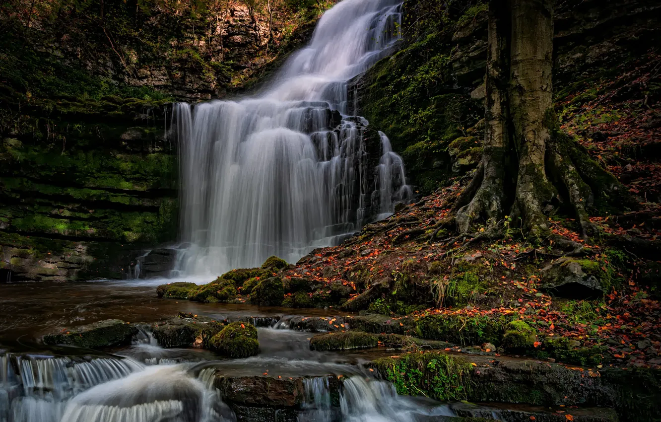 Фото обои осень, лес, природа, камни, скалы, Англия, водопад