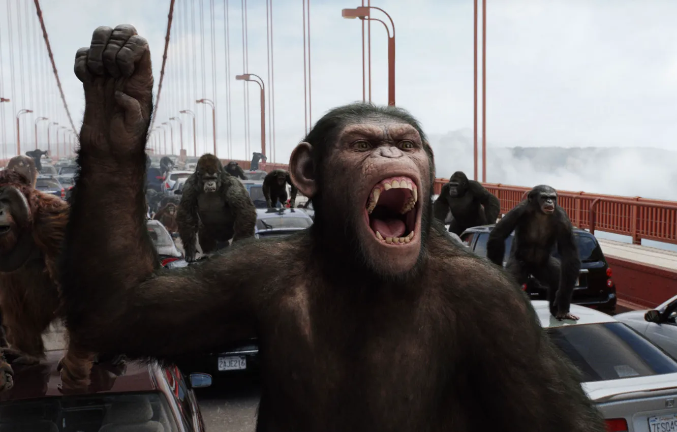 Фото обои машины, мост, обезьяны, сан франциско, Rise of the Planet of the Apes, Восстание планеты обезьян