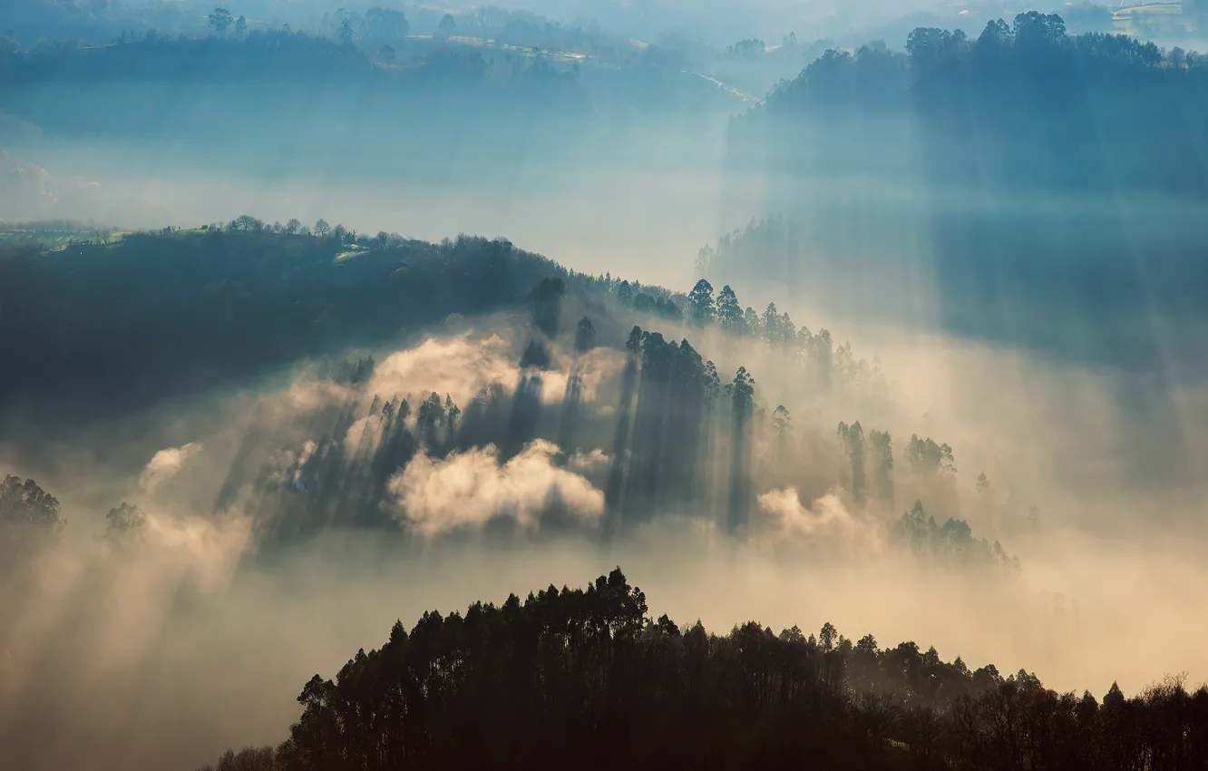 Фото обои лучи, свет, туман, утро, долина, британия