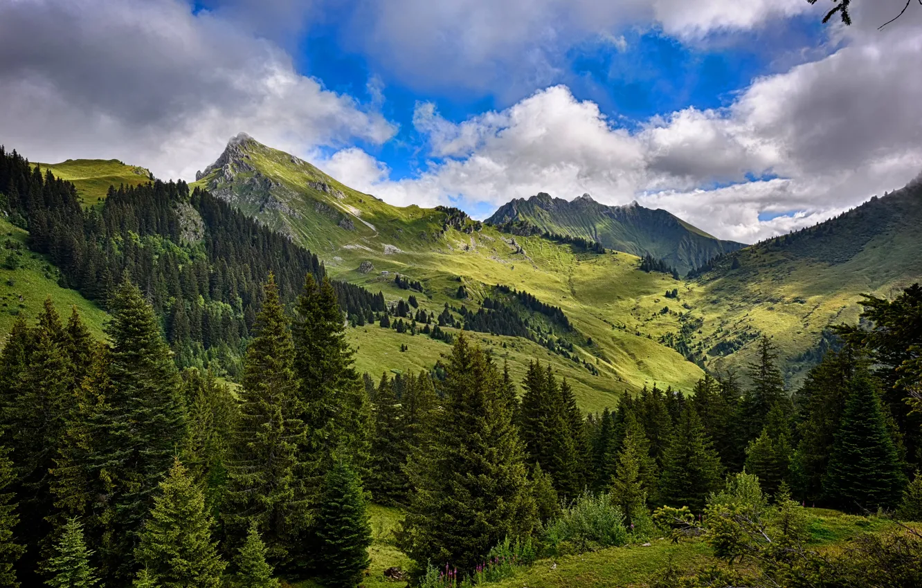 Фото обои облака, деревья, горы, Франция, долина, леса, луга, Mieussy