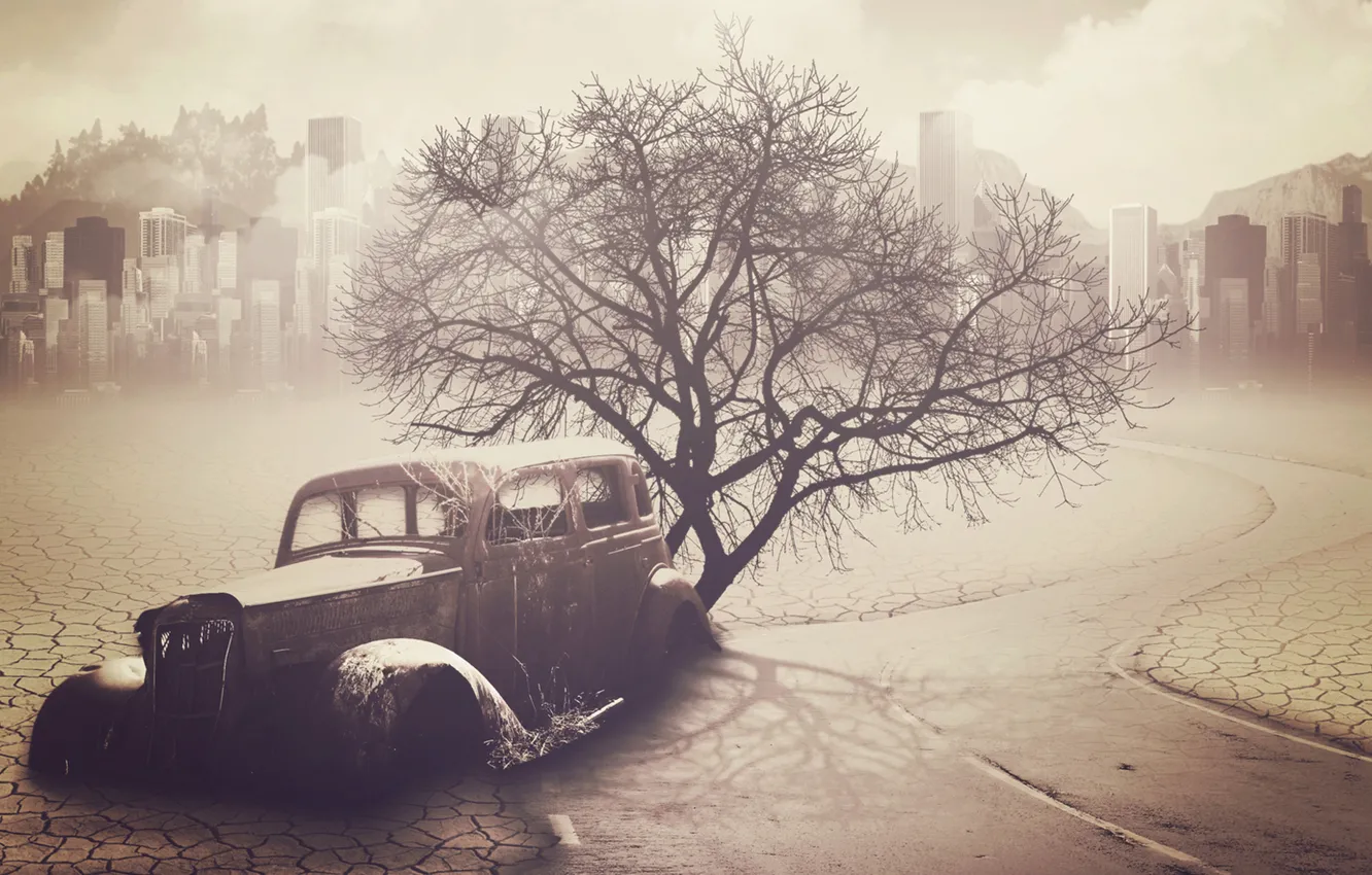 Фото обои дорога, машина, дерево, Апокалипсис