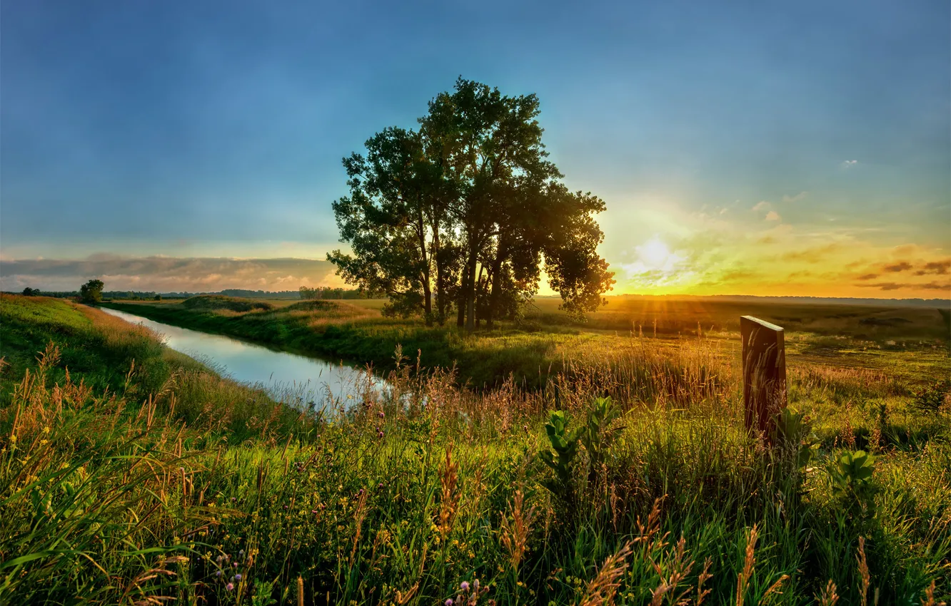 Фото обои лето, трава, солнце, закат, природа, река, дерево, Поле