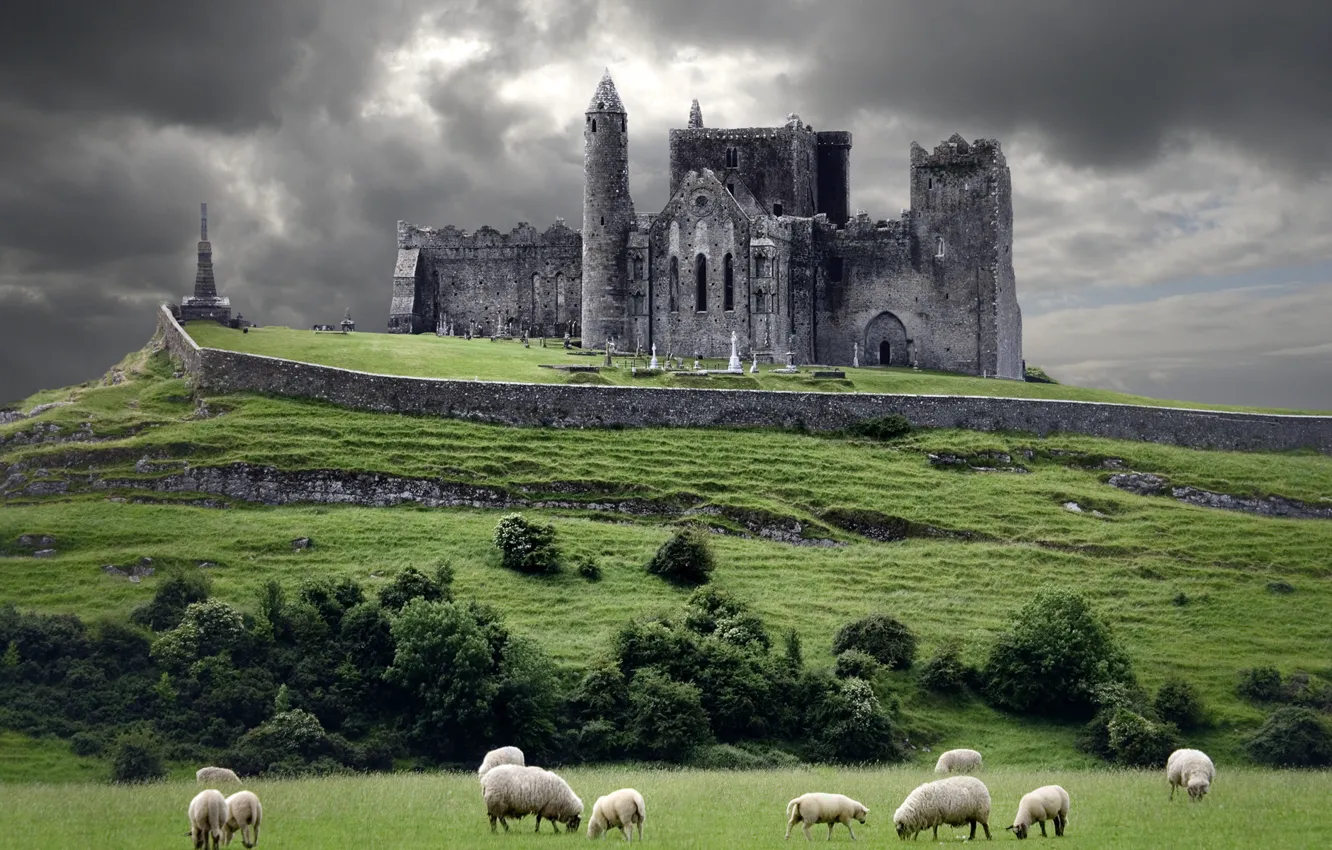 Фото обои тучи, замок, овцы, холм, Ирландия, Ireland