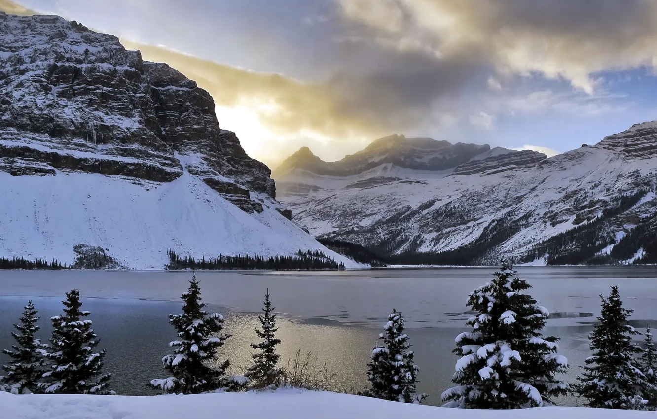 Фото обои light, Alberta, trees, mountains, clouds, snow, Bow Lake