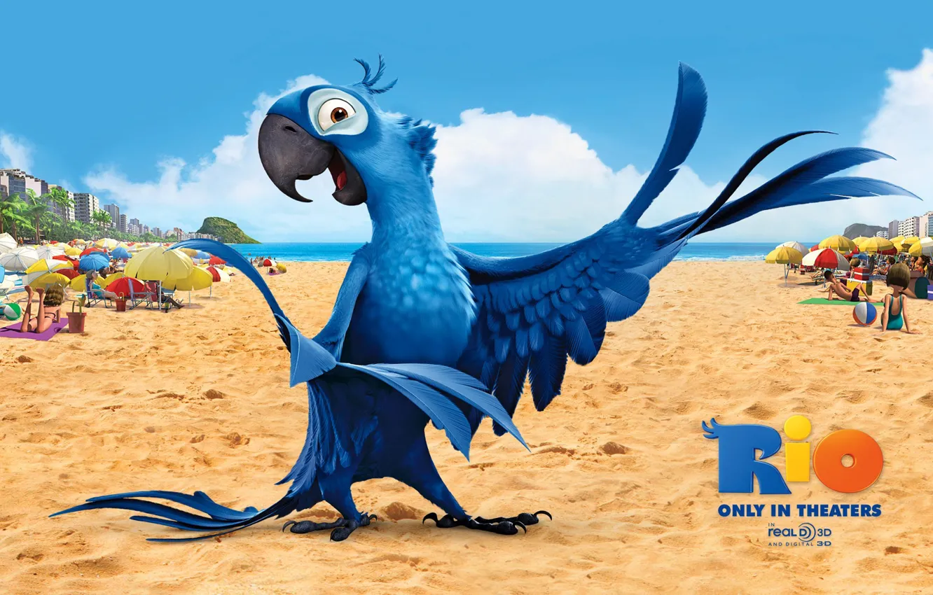 Фото обои песок, пляж, птица, мультфильм, крылья, перья, клюв, попугай