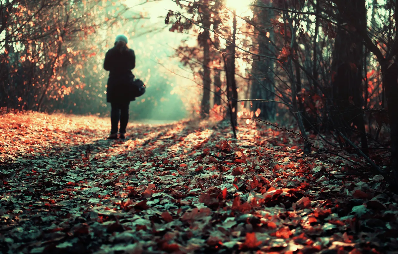 Фото обои девушка, одиночество, ворох листьев