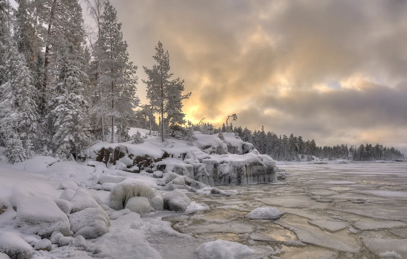 Фото обои зима, лес, снег, пейзаж, природа, озеро, берег, лёд
