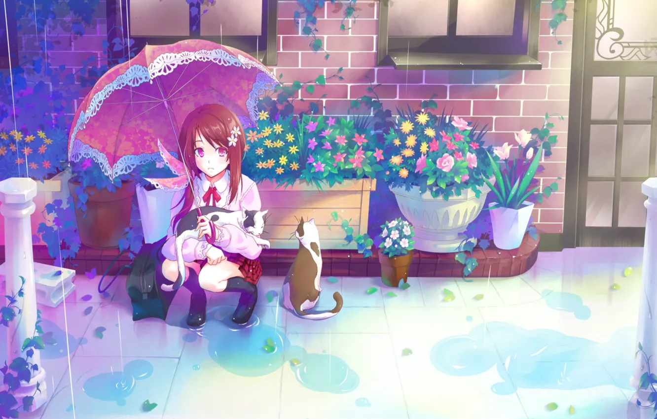Фото обои кошки, дом, дождь, окна, растения, зонт, дверь, лужи