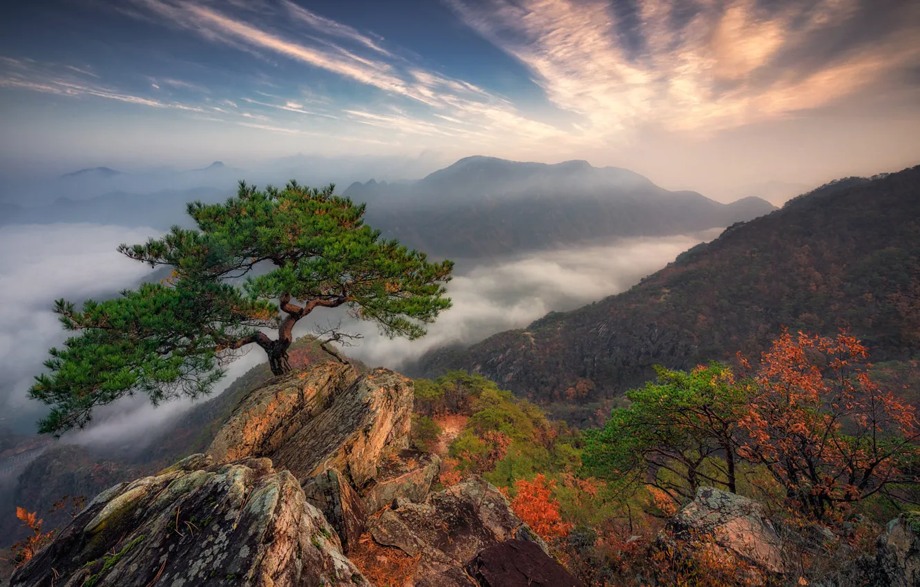 Фото обои осень, небо, облака, горы, туман, камни, дерево, скалы