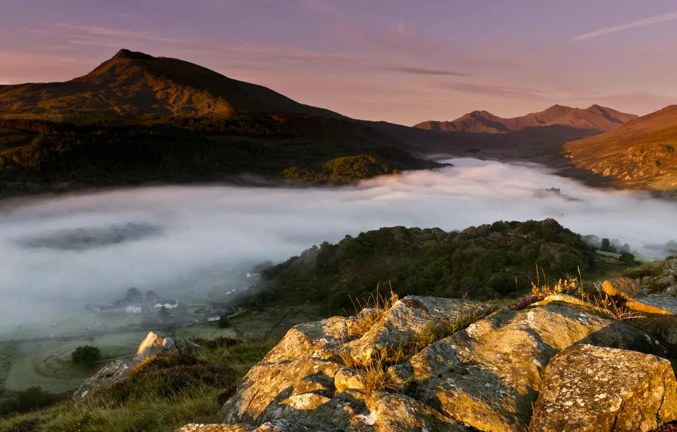 Фото обои лес, свет, горы, туман, Англия, утро, долина, Уэльс