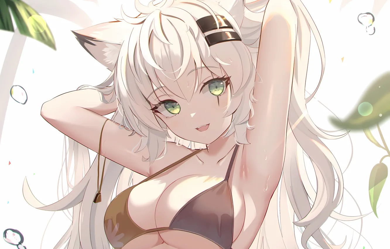 Фото обои girl, sexy, wet, cleavage, green eyes, long hair, boobs, animal ears