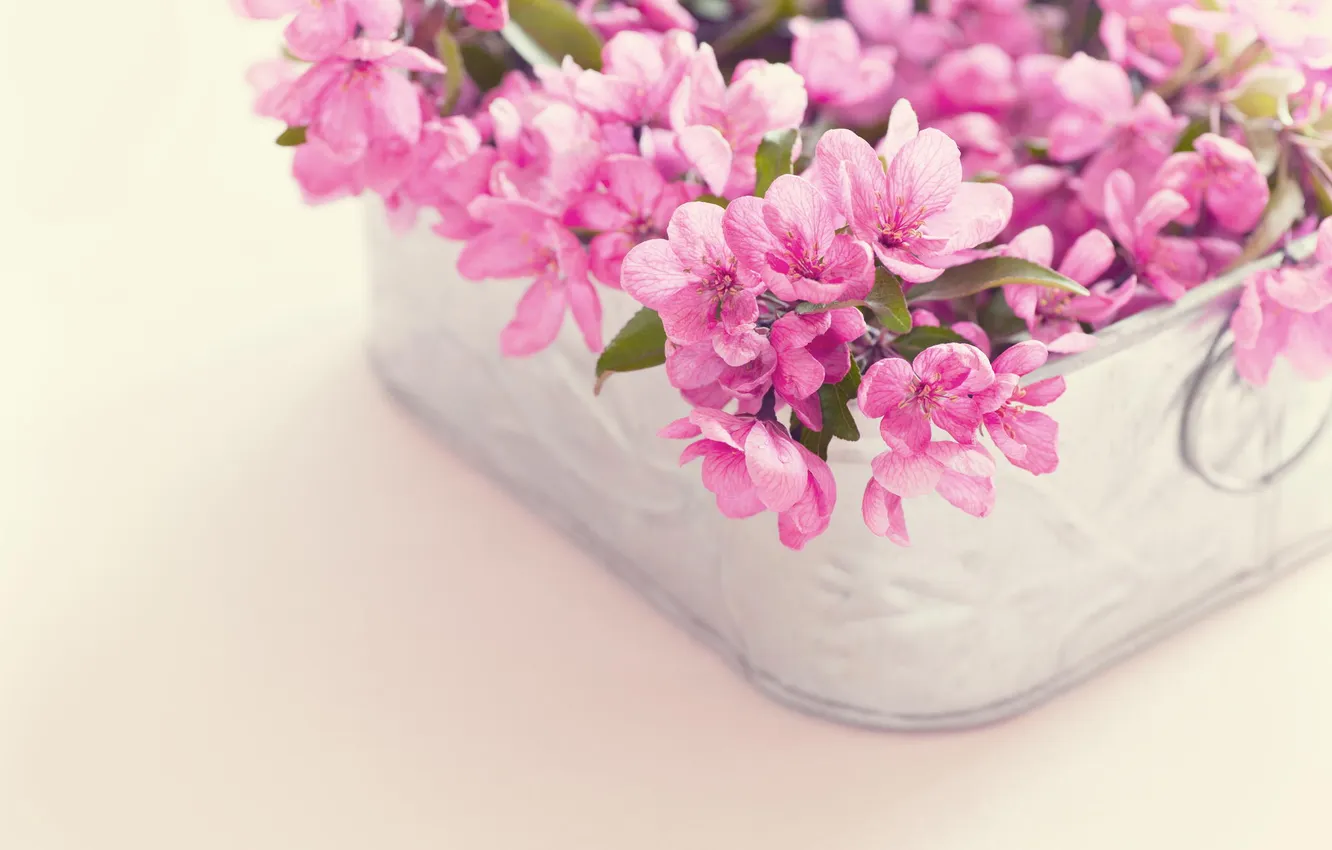 Фото обои цветы, корзина, букет, розовые