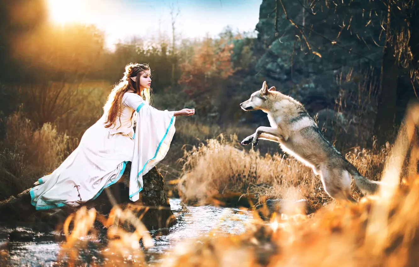 Фото обои волк, эльфийка, Wolf with elves princess