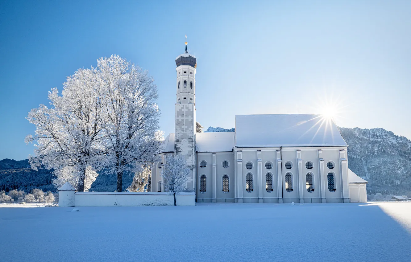 Фото обои зима, иней, поле, солнце, лучи, свет, снег, деревья