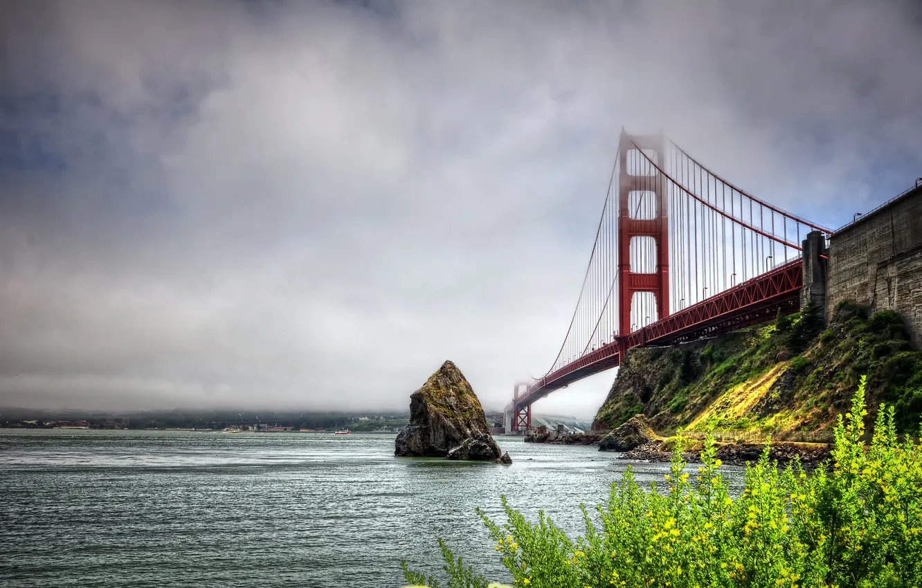 Фото обои море, небо, облака, цветы, мост, скала, Сан-Франциско, золотые ворота