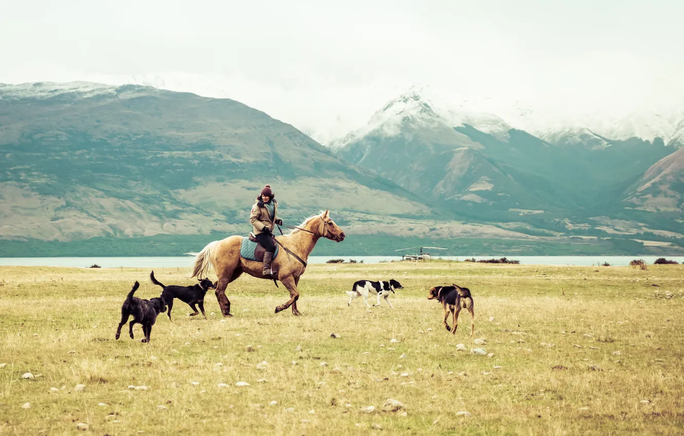 Фото обои собаки, горы, озеро, женщина, лошадь
