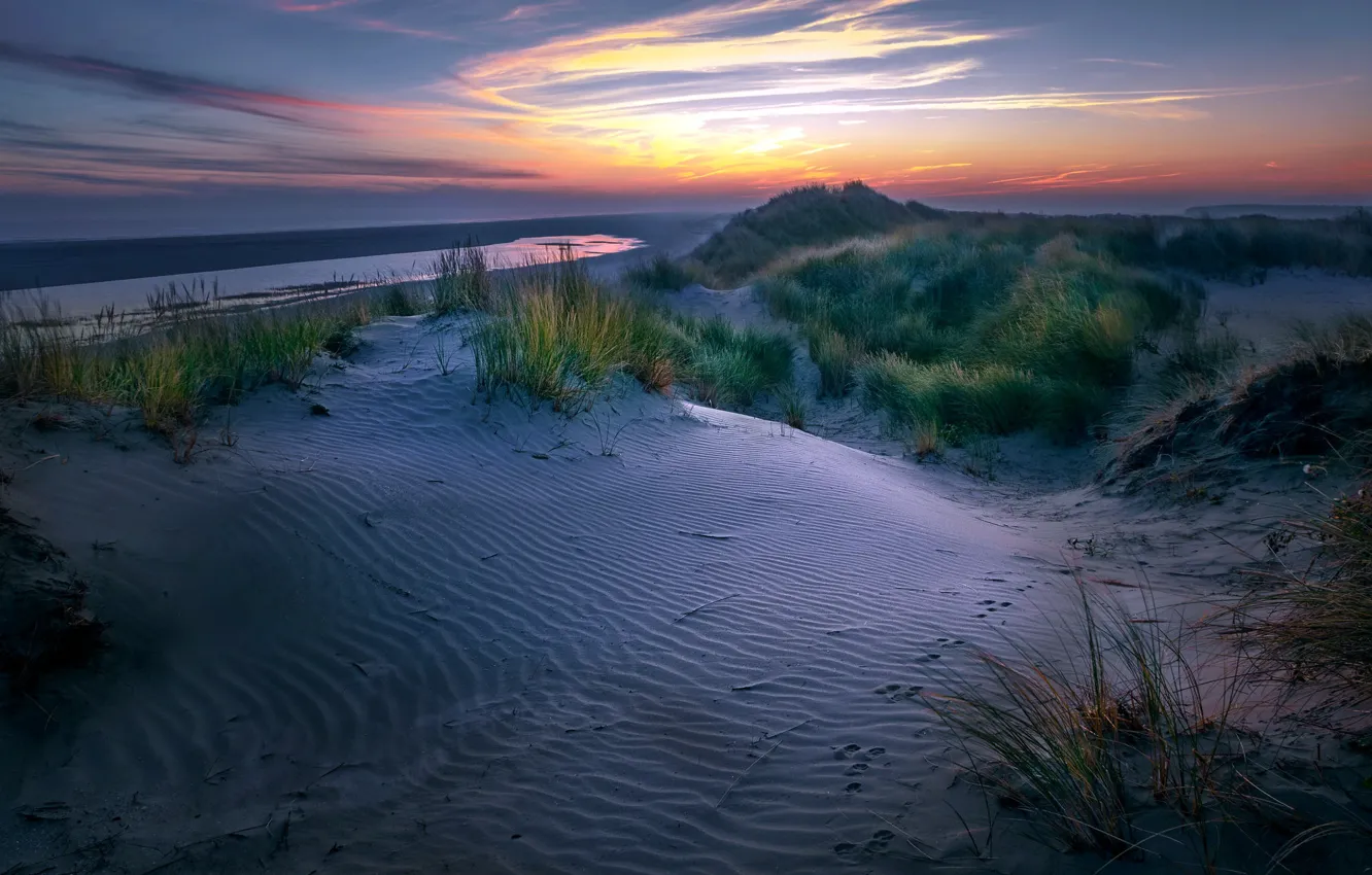 Фото обои Nederland, dunes, Friesland, Ameland