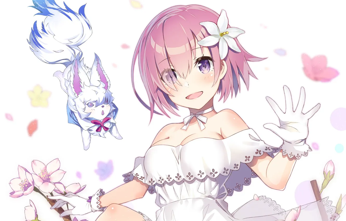 Фото обои девушка, собачка, Fate / Grand Order, Судьба великая кампания