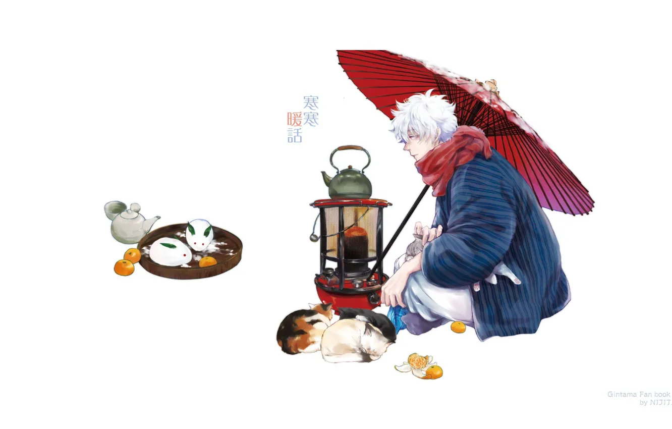 Фото обои снег, кошки, зонт, шарф, чайник, плита, белый фон, парень
