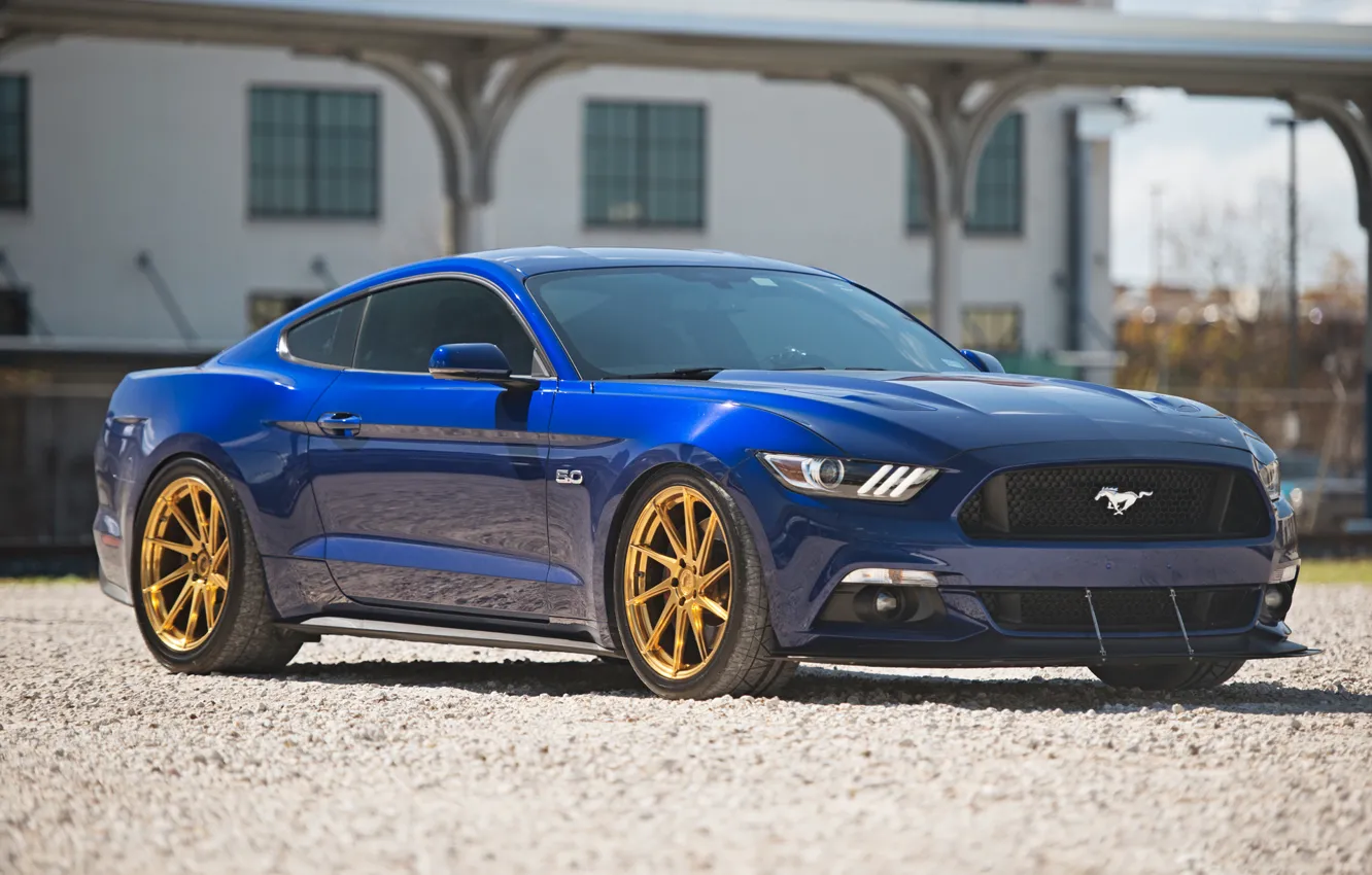 Фото обои mustang, ford, 5.0, gts