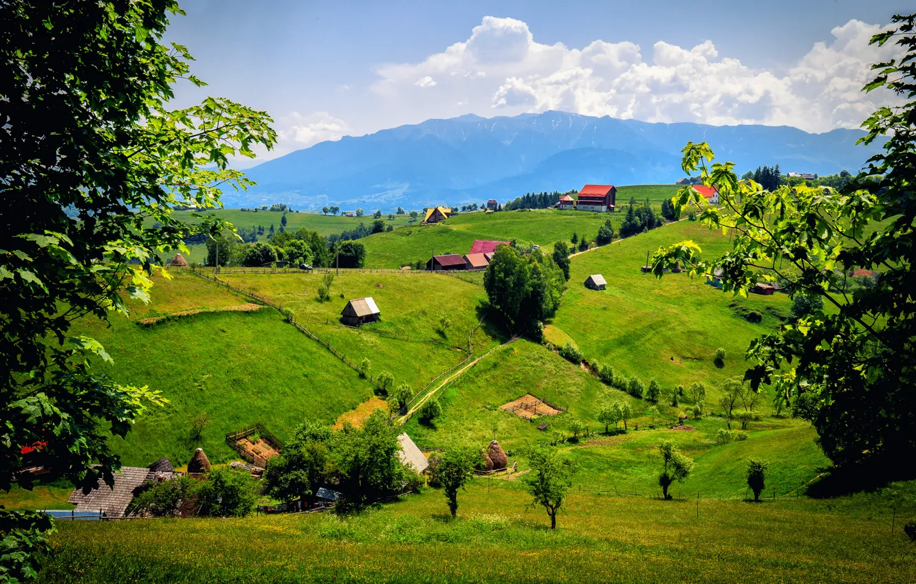 Фото обои горы, поля, луга, Румыния, Brasov, Брашов