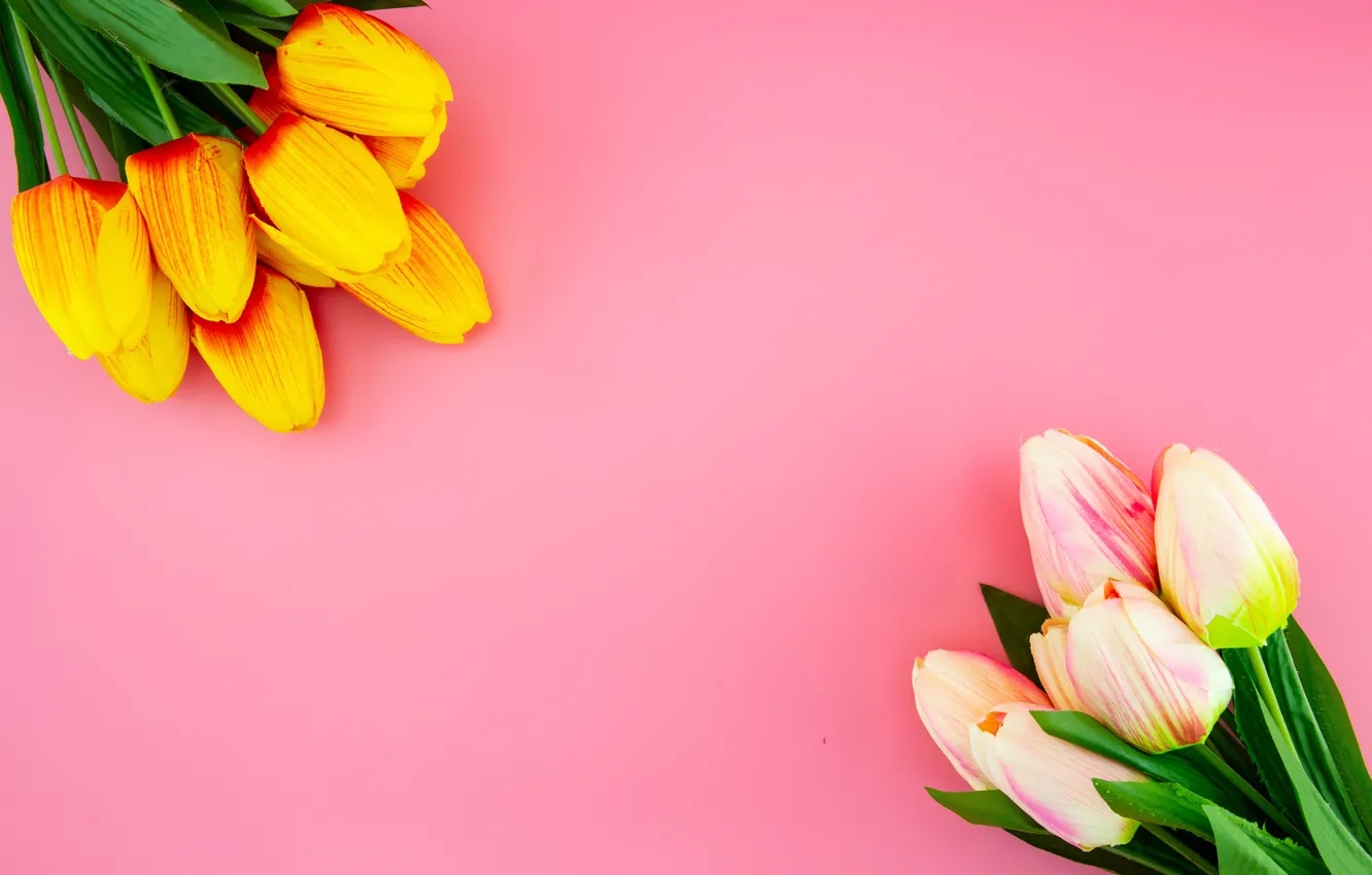 Фото обои цветы, фон, букет, тюльпаны