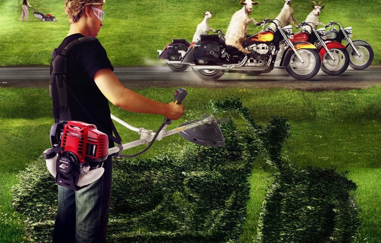 Фото обои трава, мотоциклы, козлы, газонокосилка