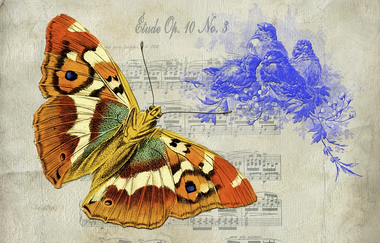 Фото обои фон, бабочка, текстура