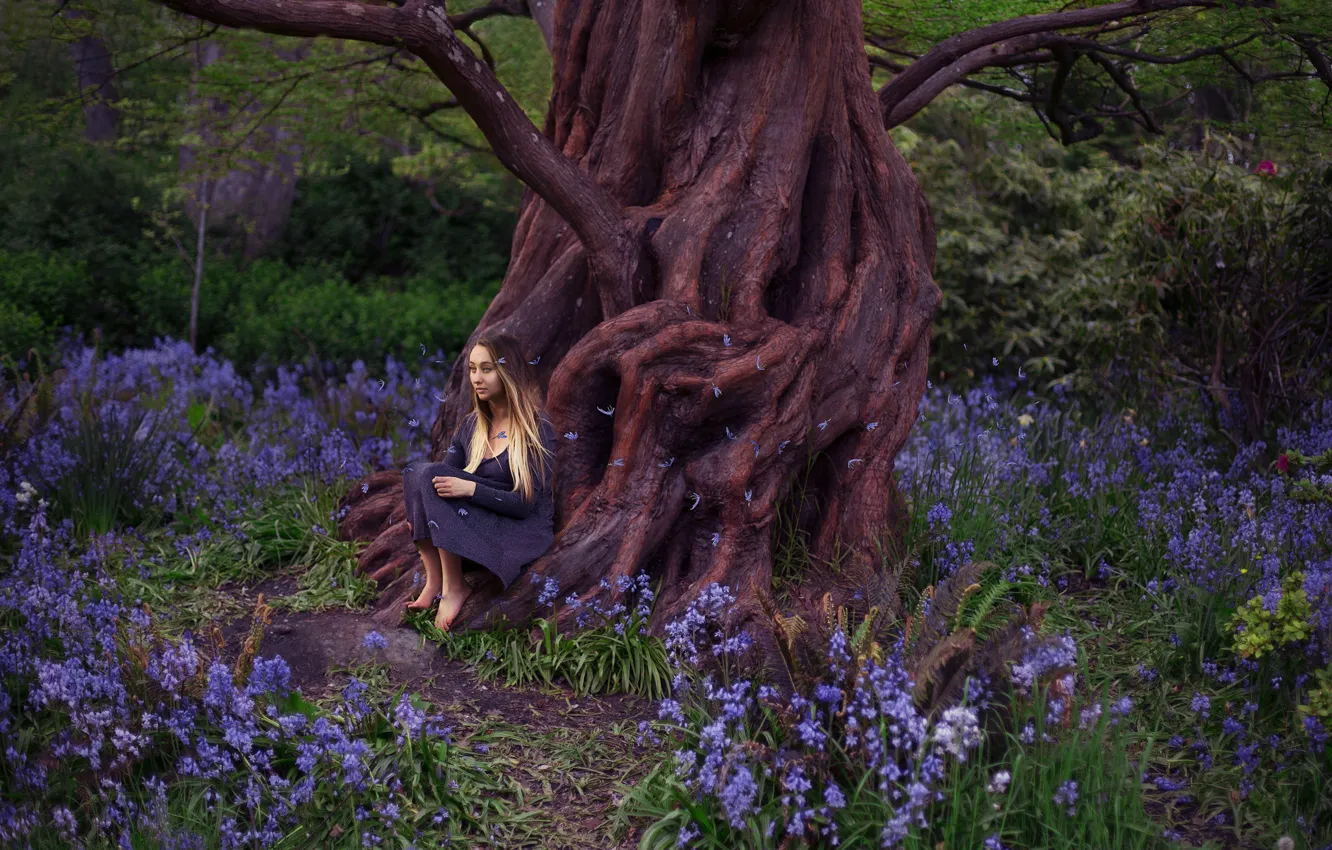 Фото обои девушка, цветы, корни, дерево, лепестки, платье, Lichon, Beacon Hill