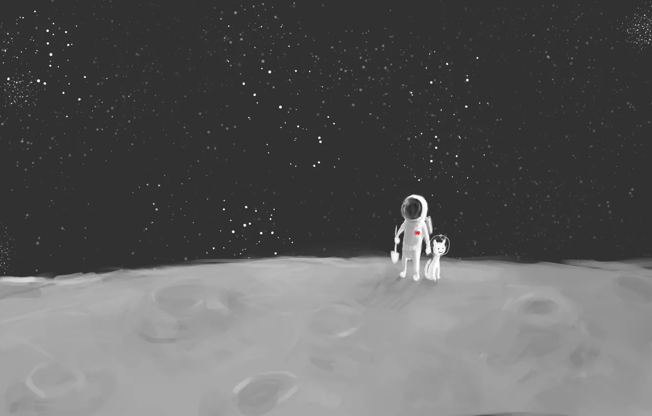 Фото обои кот, космонавт, звёзды, Луна, лопата