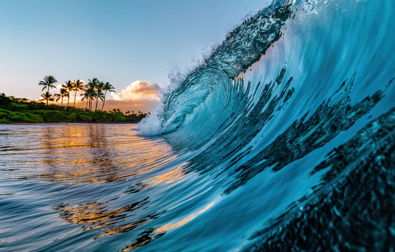Фото обои Природа, Пляж, Волна, Пальмы, Гавайи, Красота, Nature, Hawaii