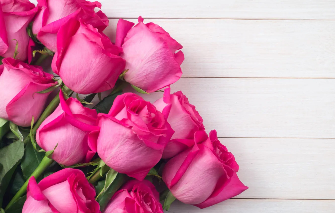 Фото обои цветы, розы, букет, розовые, бутоны, pink, flowers, roses