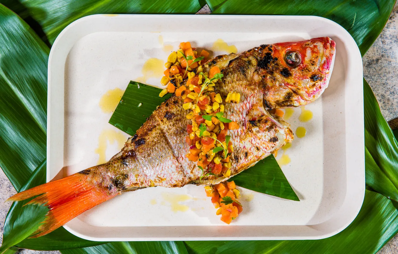Фото обои рыба, кукуруза, тарелка, гарнир