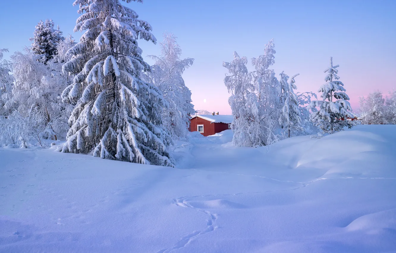 Фото обои зима, снег, деревья, пейзаж, природа, дом, ели, Швеция