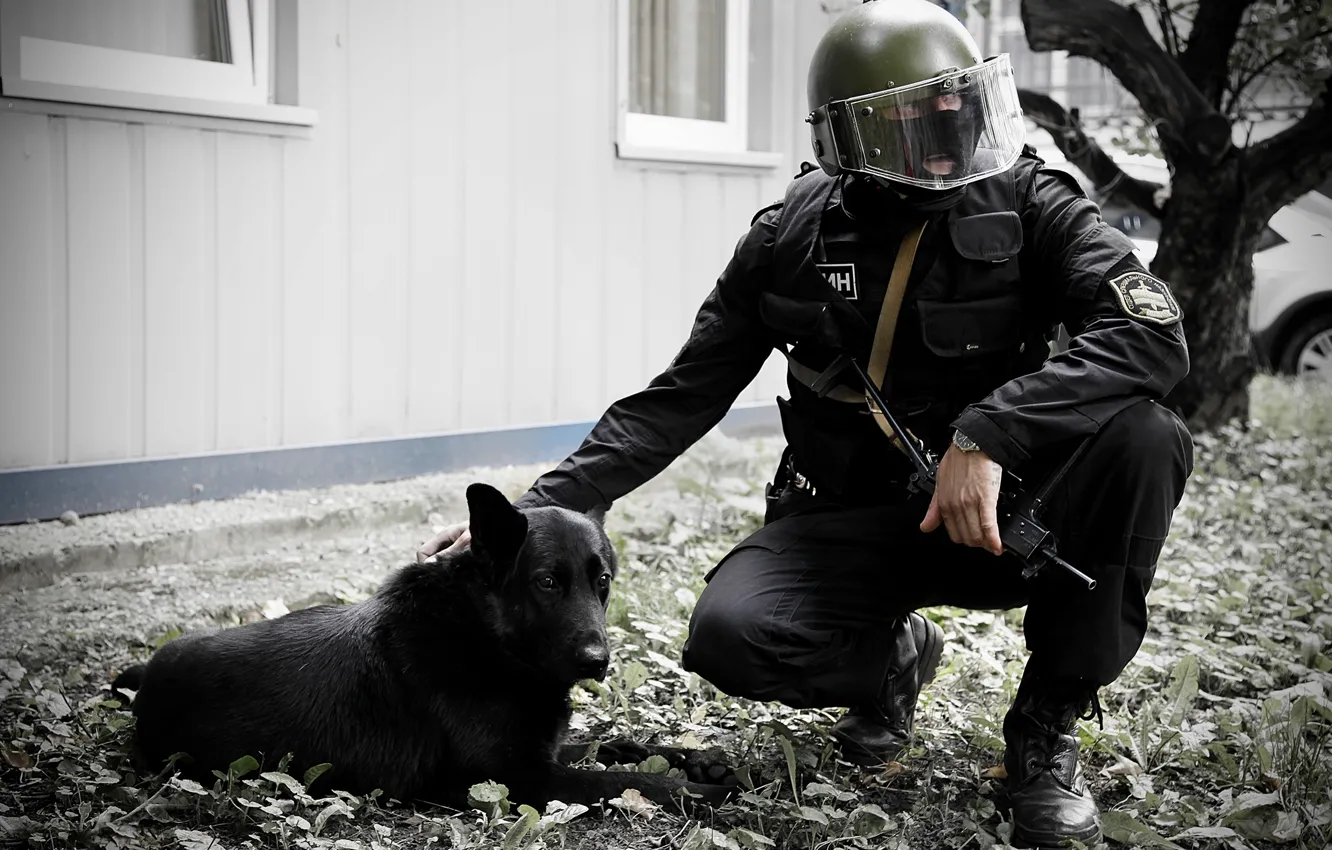 Фото обои собака, маска, солдат, шлем, спецназ, ОСН Сатурн