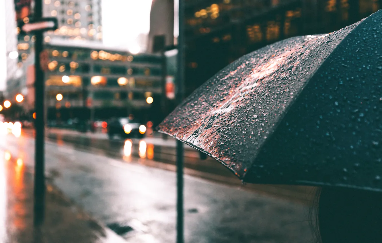 Фото обои капли, улица, зонт